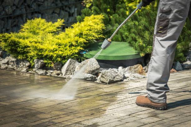 Best Gutter Cleaning  in Monrovia, CA